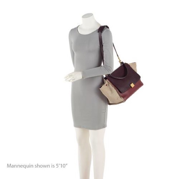 Celine Calfskin and Canvas Trapeze Bag - Picture 6 of 16